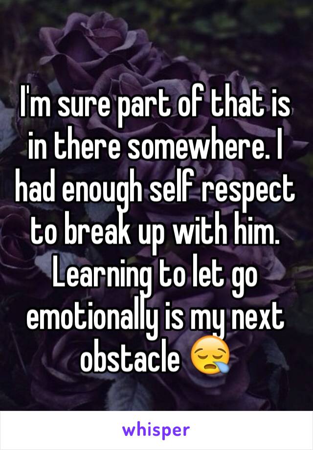 I'm sure part of that is in there somewhere. I had enough self respect to break up with him. Learning to let go emotionally is my next obstacle 😪 