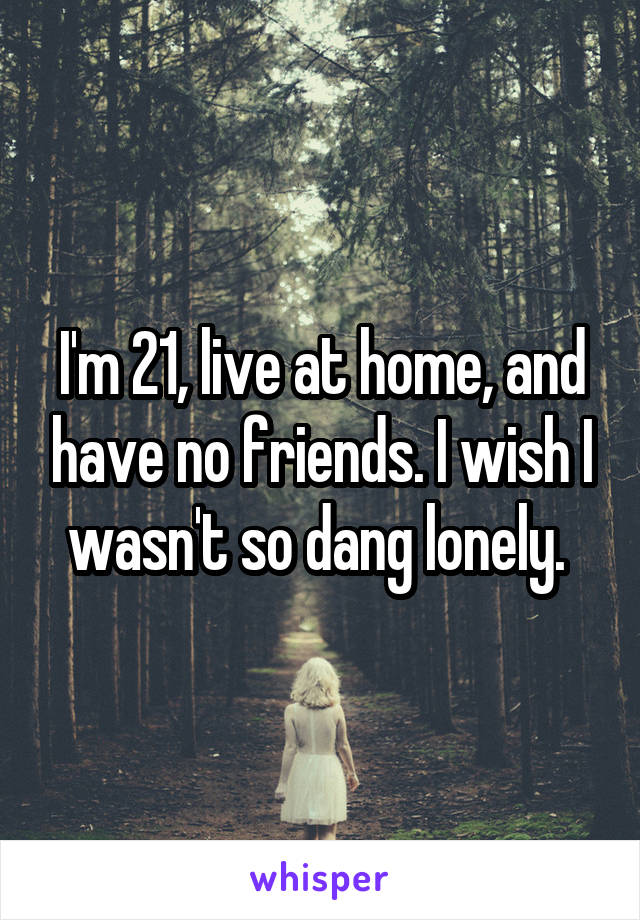 I'm 21, live at home, and have no friends. I wish I wasn't so dang lonely. 