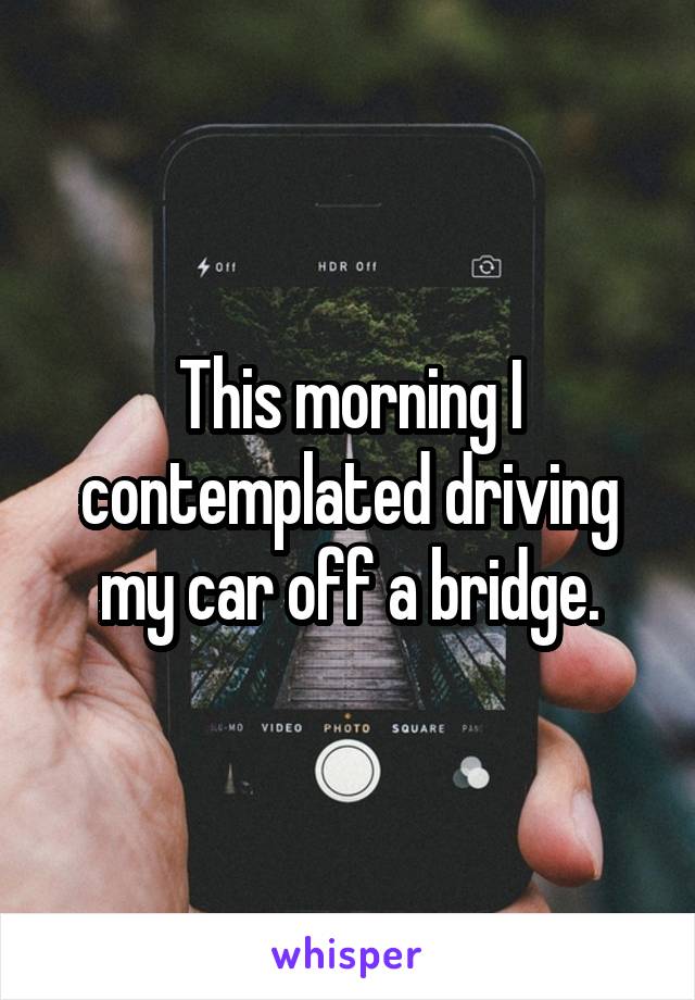 This morning I contemplated driving my car off a bridge.