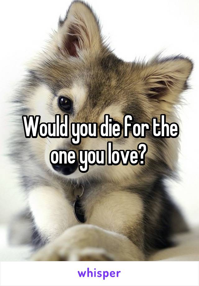 Would you die for the one you love? 