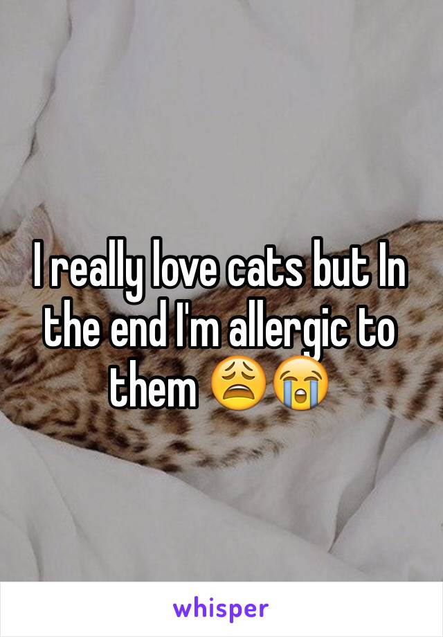 I really love cats but In the end I'm allergic to them 😩😭