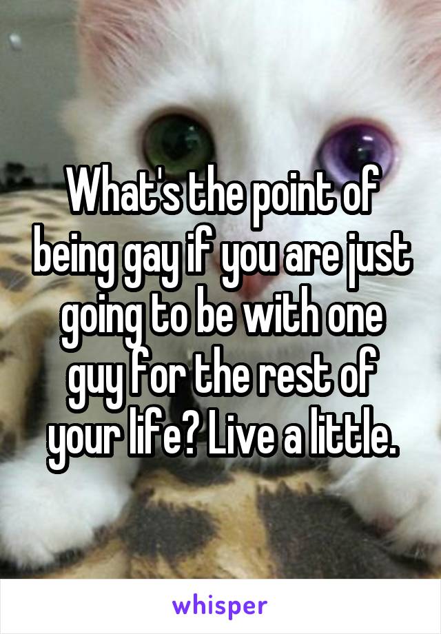 What's the point of being gay if you are just going to be with one guy for the rest of your life? Live a little.