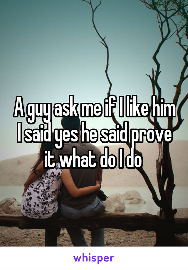 A guy ask me if I like him I said yes he said prove it what do I do 