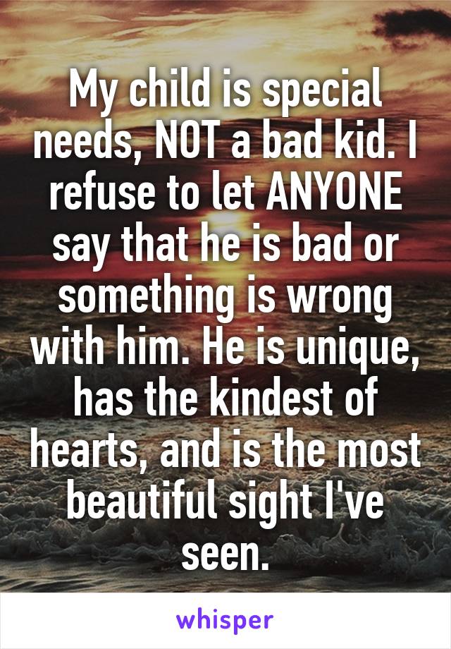 My child is special needs, NOT a bad kid. I refuse to let ANYONE say that he is bad or something is wrong with him. He is unique, has the kindest of hearts, and is the most beautiful sight I've seen.