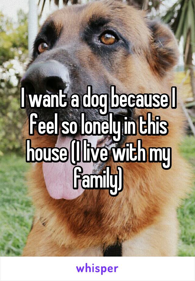 I want a dog because I feel so lonely in this house (I live with my family)