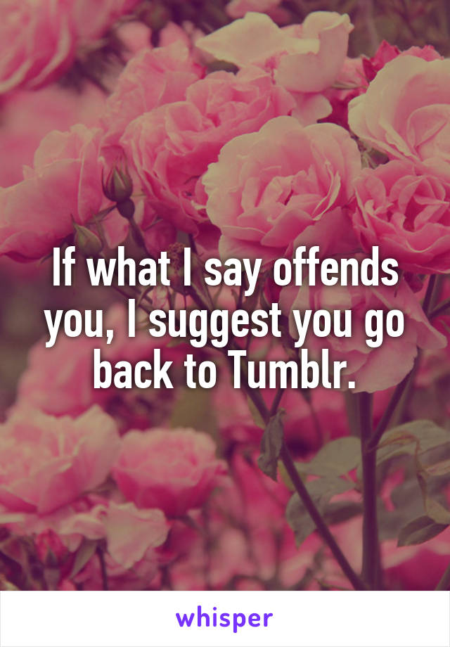 If what I say offends you, I suggest you go back to Tumblr.