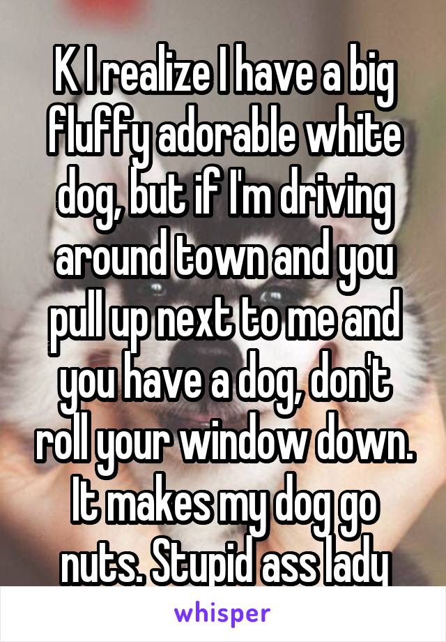 K I realize I have a big fluffy adorable white dog, but if I'm driving around town and you pull up next to me and you have a dog, don't roll your window down. It makes my dog go nuts. Stupid ass lady