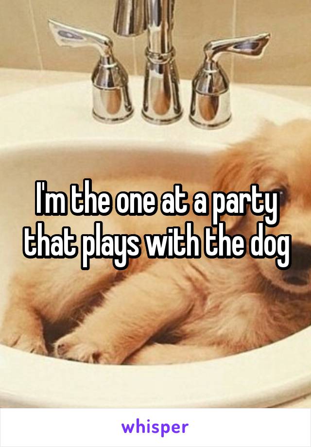 I'm the one at a party that plays with the dog