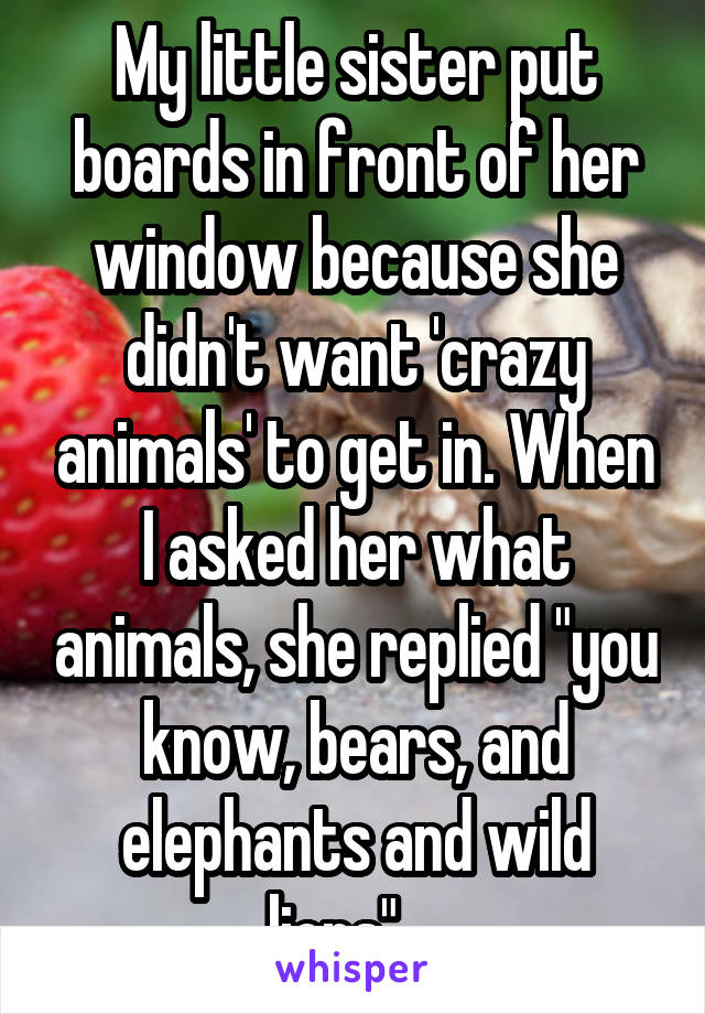 My little sister put boards in front of her window because she didn't want 'crazy animals' to get in. When I asked her what animals, she replied "you know, bears, and elephants and wild lions"....