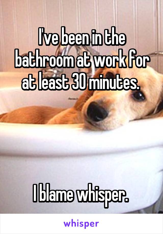 I've been in the bathroom at work for at least 30 minutes. 




I blame whisper. 