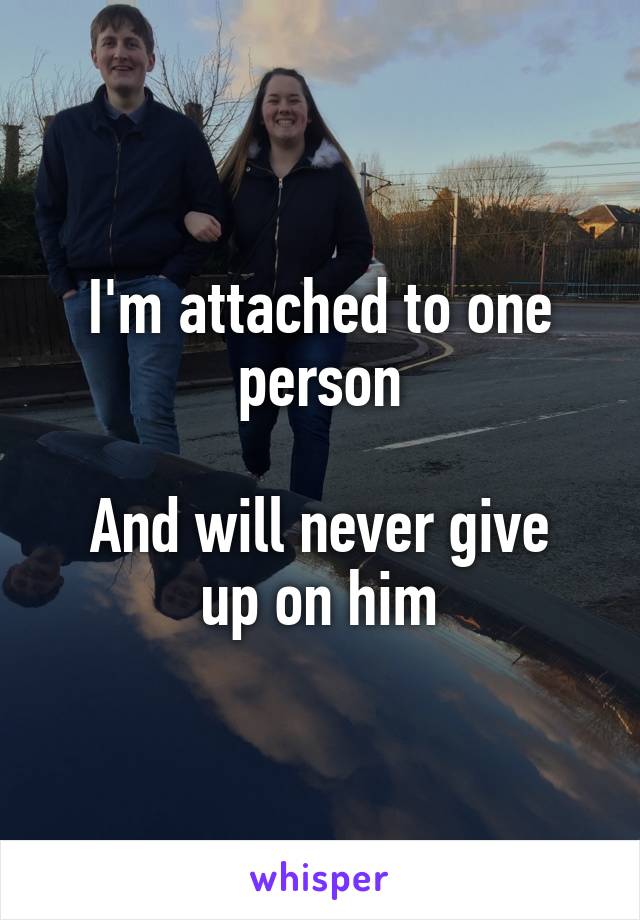 I'm attached to one person

And will never give up on him