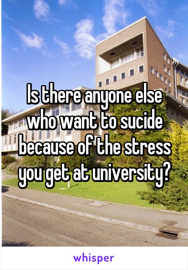 Is there anyone else who want to sucide because of the stress you get at university?