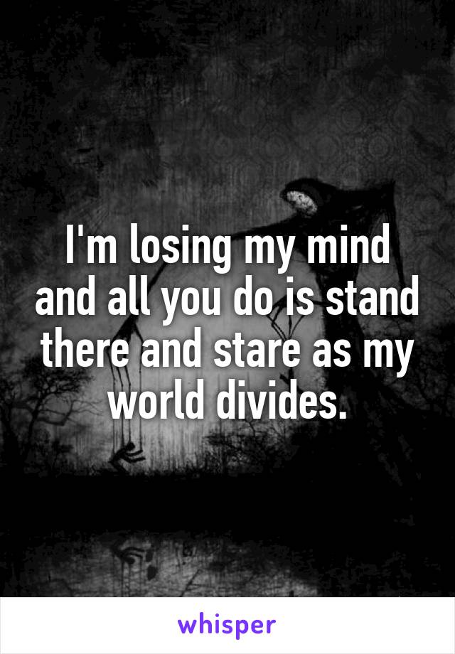 I'm losing my mind and all you do is stand there and stare as my world divides.