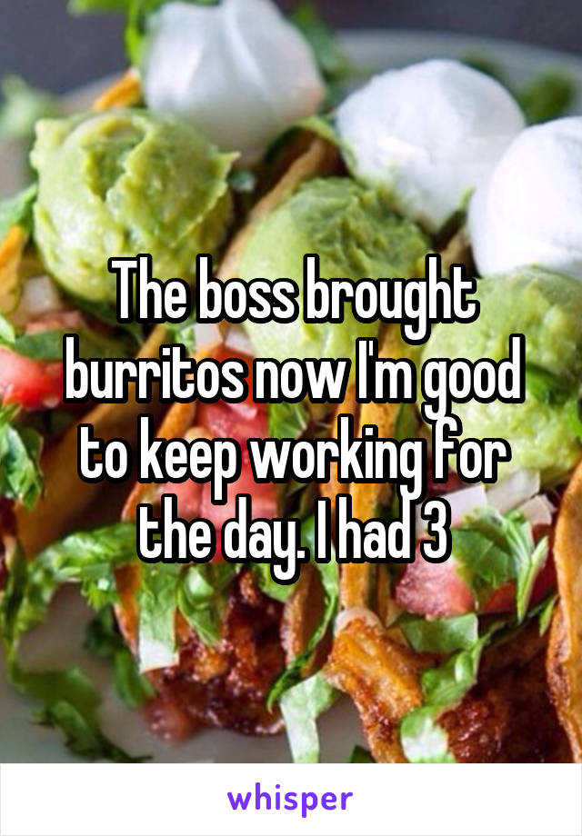 The boss brought burritos now I'm good to keep working for the day. I had 3