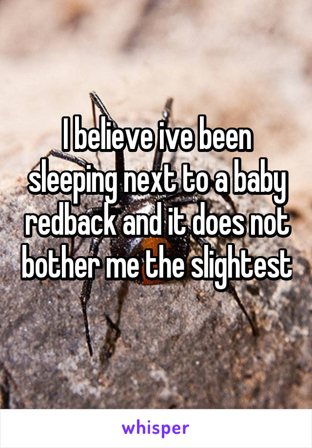 I believe ive been sleeping next to a baby redback and it does not bother me the slightest 