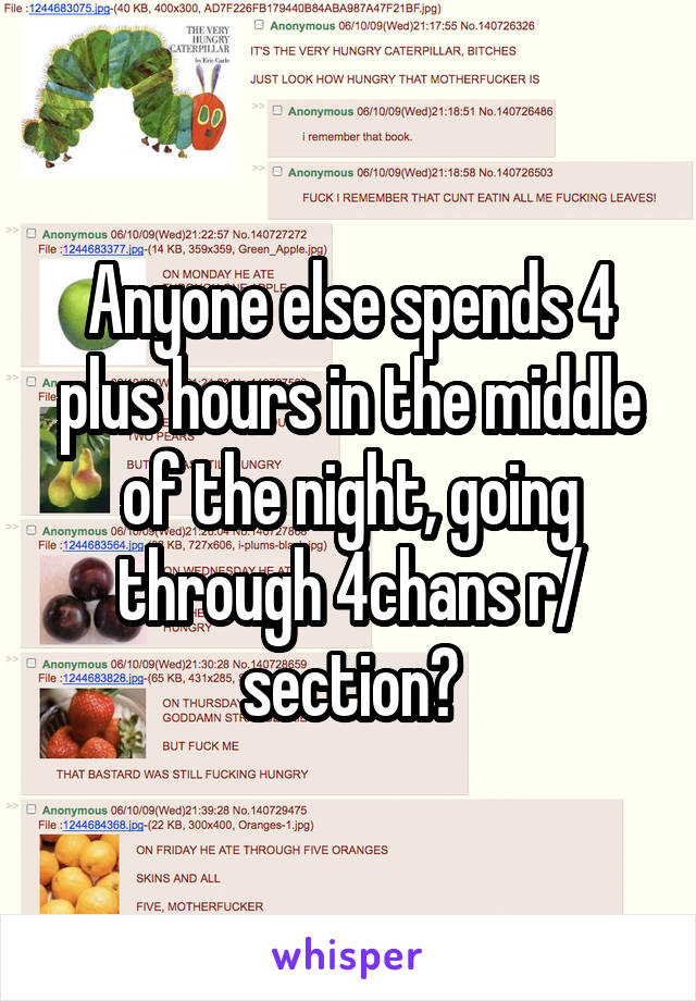 Anyone else spends 4 plus hours in the middle of the night, going through 4chans r/ section?