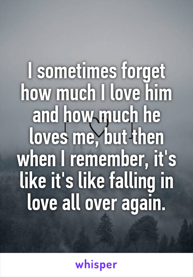 I sometimes forget how much I love him and how much he loves me, but then when I remember, it's like it's like falling in love all over again.