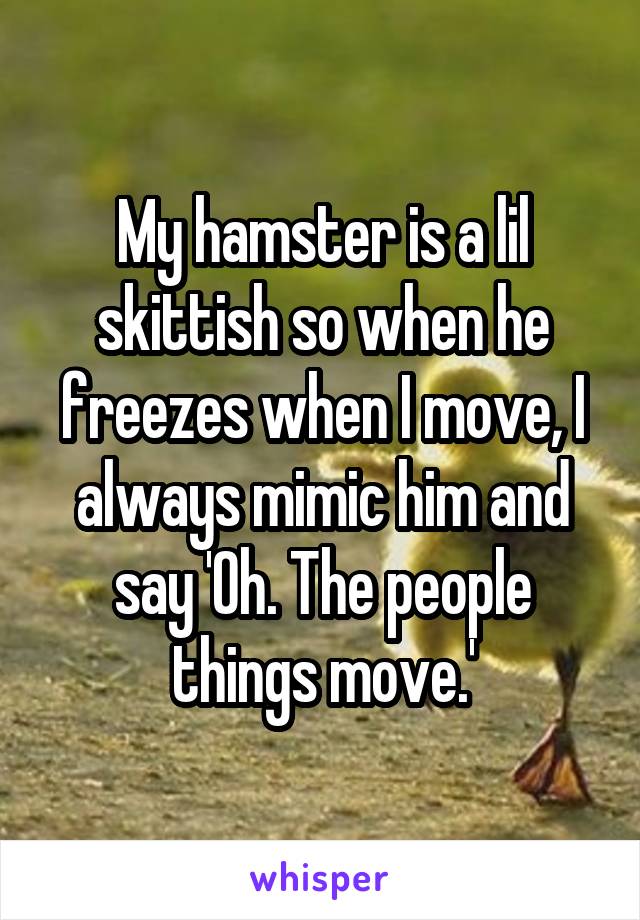 My hamster is a lil skittish so when he freezes when I move, I always mimic him and say 'Oh. The people things move.'