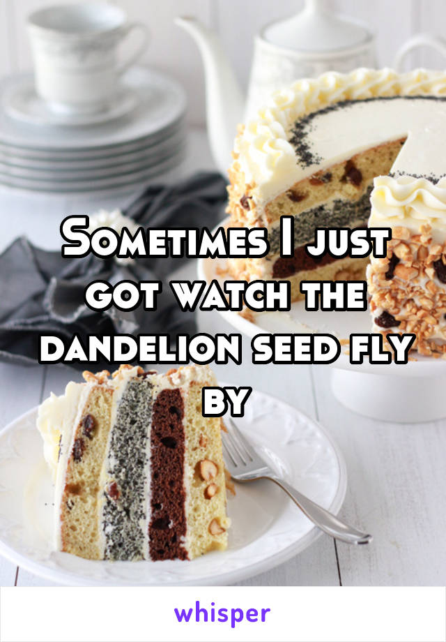 Sometimes I just got watch the dandelion seed fly by