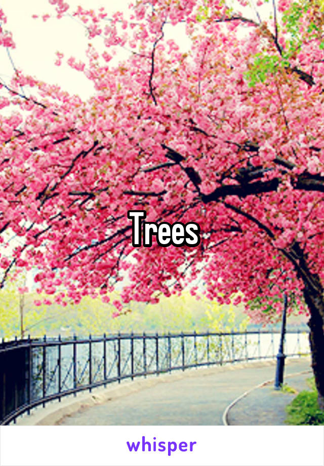 Trees