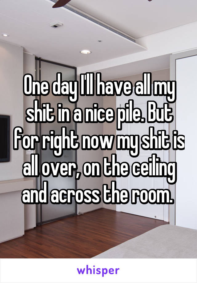 One day I'll have all my shit in a nice pile. But for right now my shit is all over, on the ceiling and across the room. 