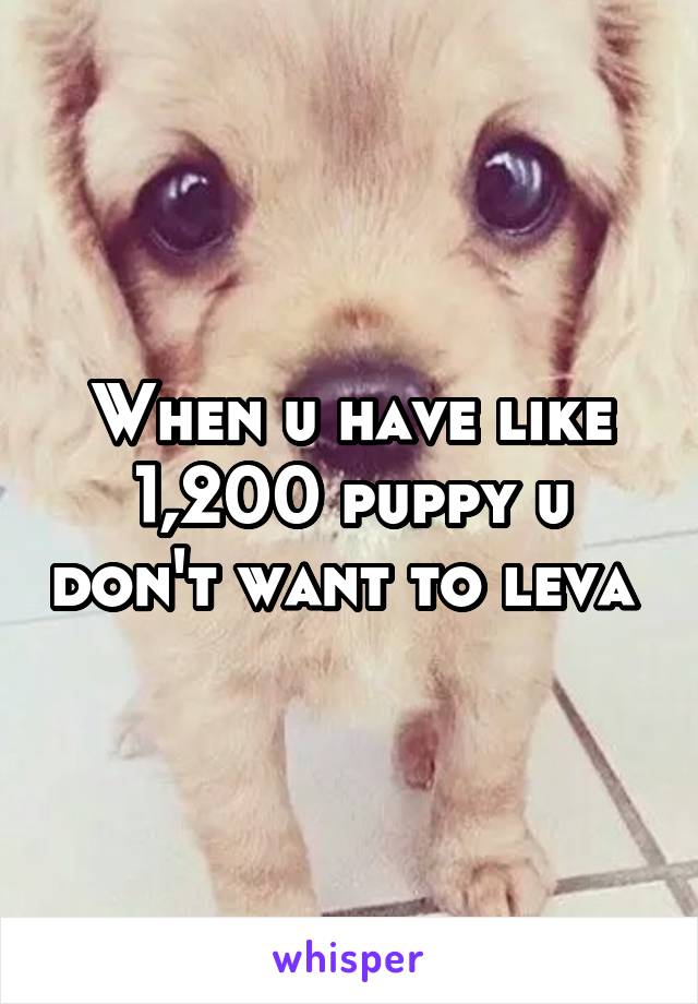 When u have like 1,200 puppy u don't want to leva 