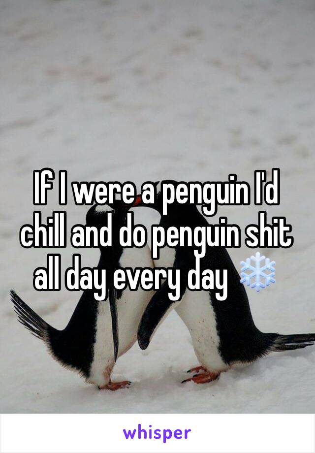 If I were a penguin I'd chill and do penguin shit all day every day ❄️