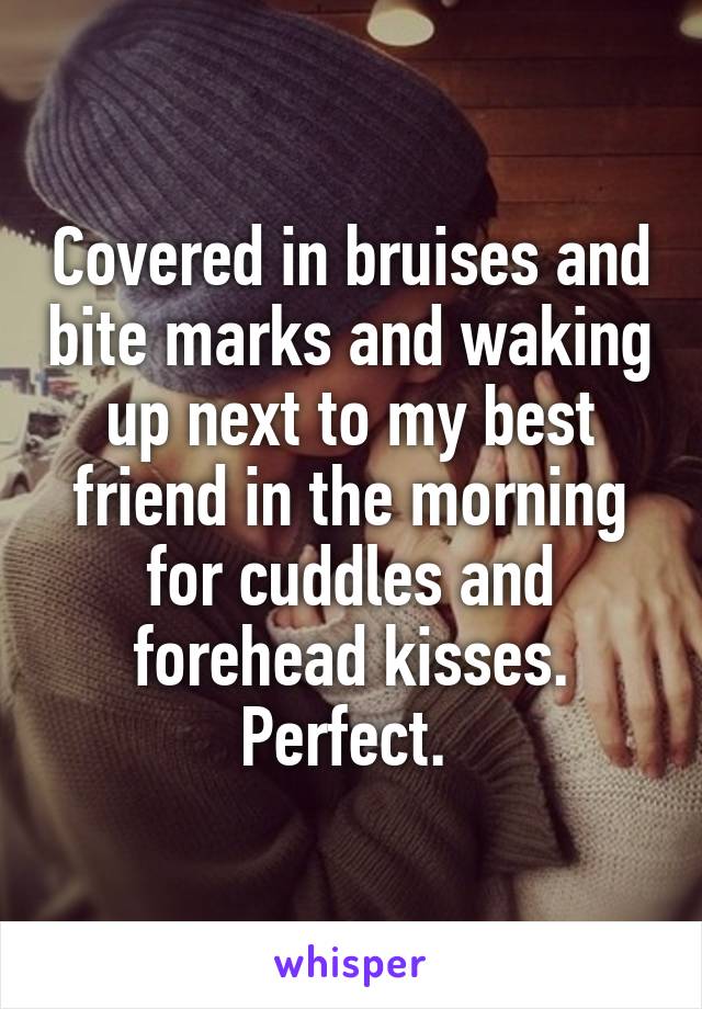 Covered in bruises and bite marks and waking up next to my best friend in the morning for cuddles and forehead kisses. Perfect. 