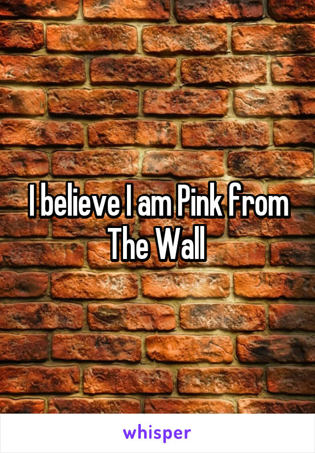 I believe I am Pink from The Wall 