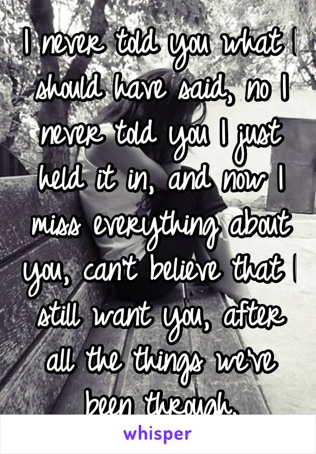 I never told you what I should have said, no I never told you I just held it in, and now I miss everything about you, can't believe that I still want you, after all the things we've been through.