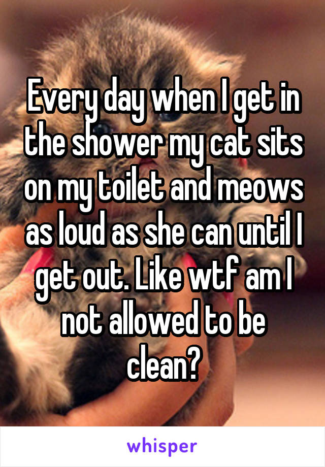 Every day when I get in the shower my cat sits on my toilet and meows as loud as she can until I get out. Like wtf am I not allowed to be clean?