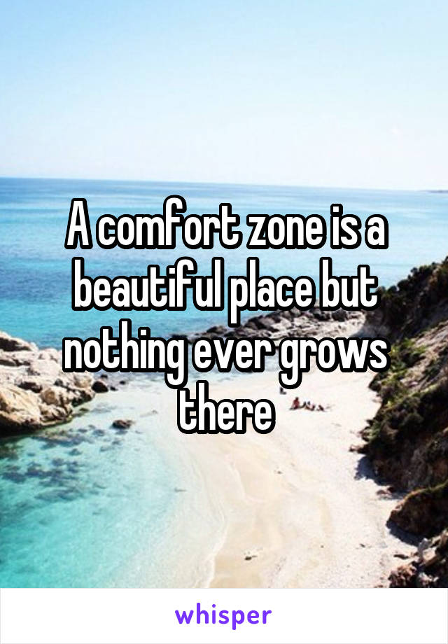 A comfort zone is a beautiful place but nothing ever grows there