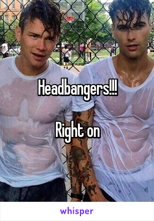 Headbangers!!!

Right on