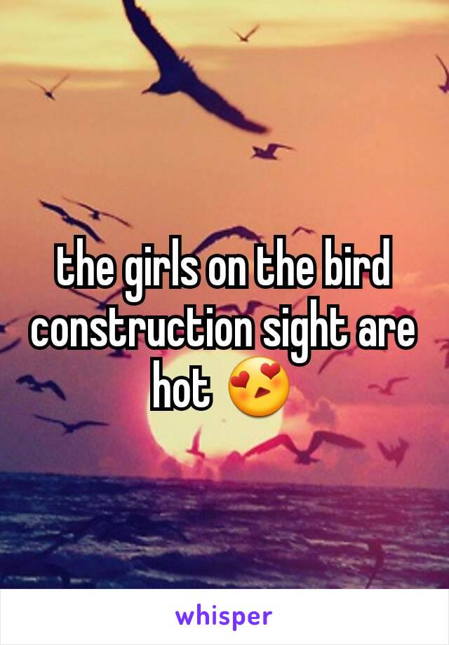 the girls on the bird construction sight are hot 😍