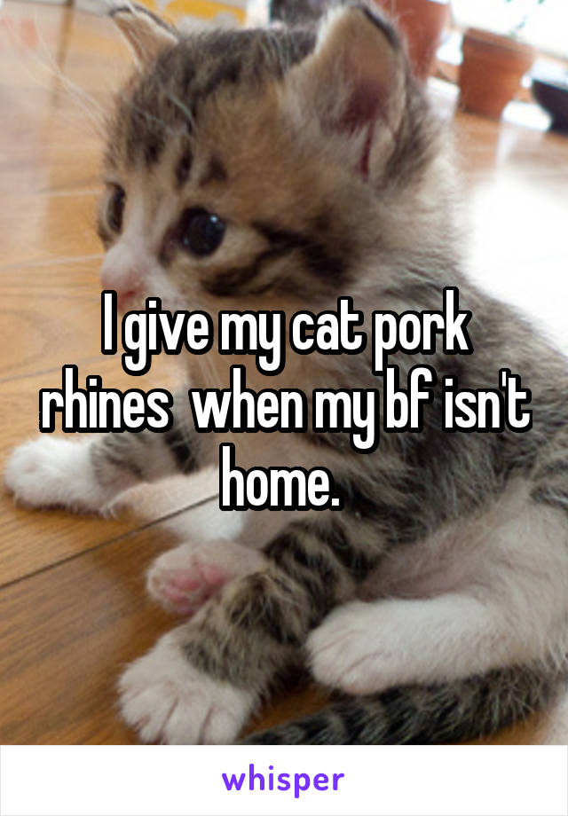 I give my cat pork rhines  when my bf isn't home. 