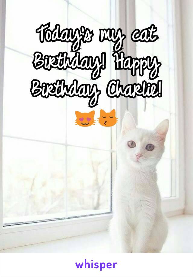 Today's my cat Birthday! Happy Birthday Charlie!
😻😽