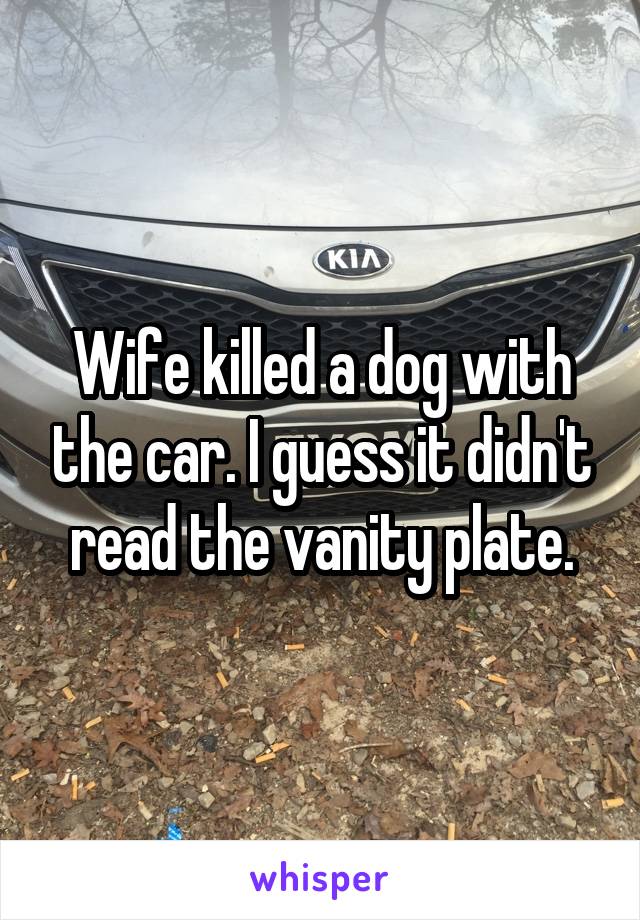 Wife killed a dog with the car. I guess it didn't read the vanity plate.