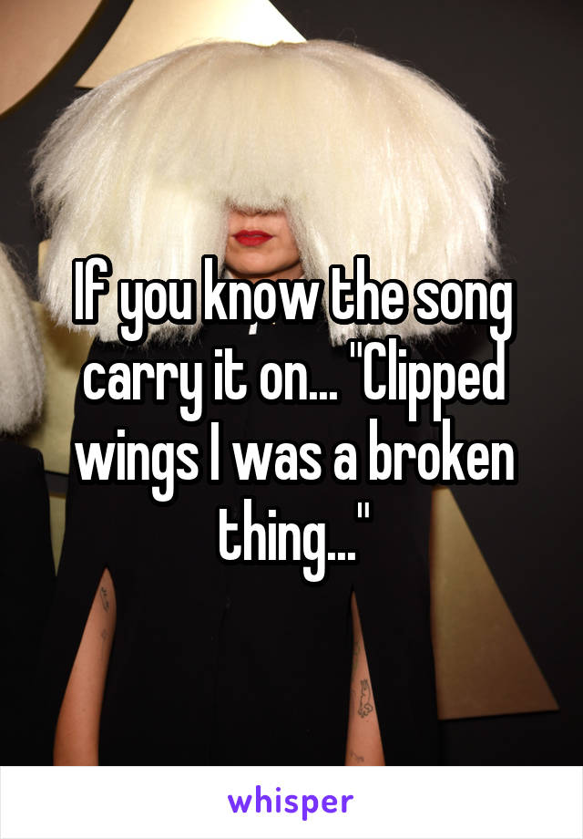 If you know the song carry it on... "Clipped wings I was a broken thing..."