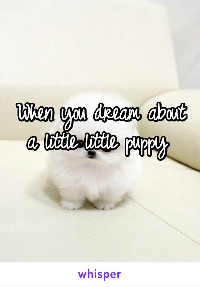 When you dream about a little little puppy 
