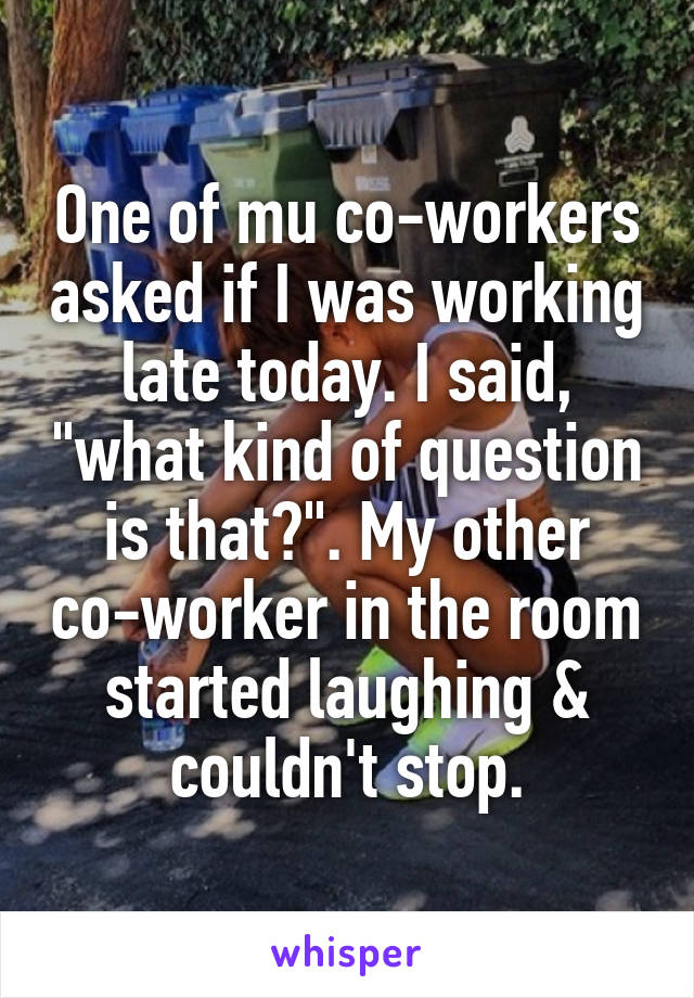 One of mu co-workers asked if I was working late today. I said, "what kind of question is that?". My other co-worker in the room started laughing & couldn't stop.