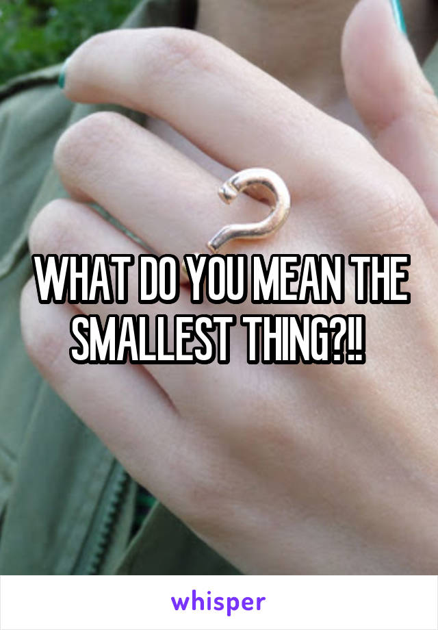 WHAT DO YOU MEAN THE SMALLEST THING?!! 