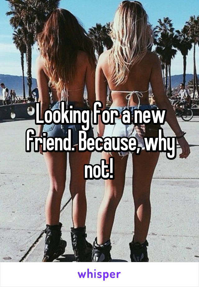 Looking for a new friend. Because, why not! 