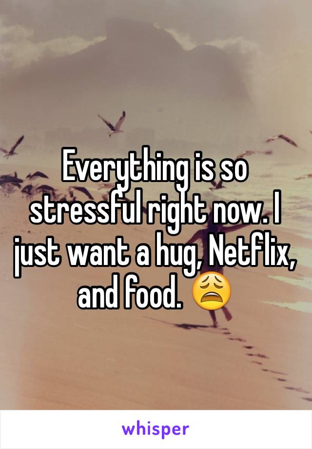 Everything is so stressful right now. I just want a hug, Netflix, and food. 😩