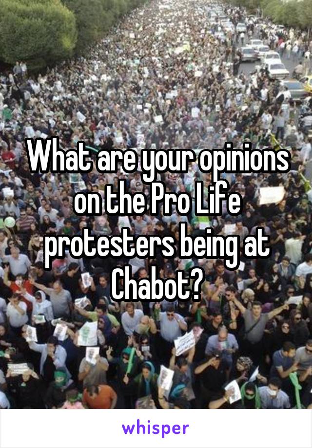 What are your opinions on the Pro Life protesters being at Chabot?