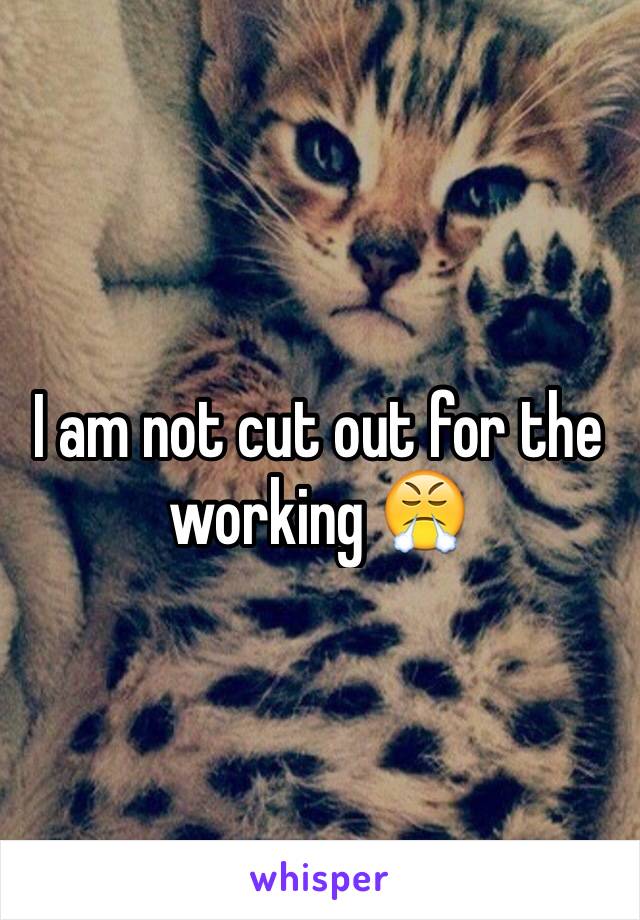 I am not cut out for the working 😤