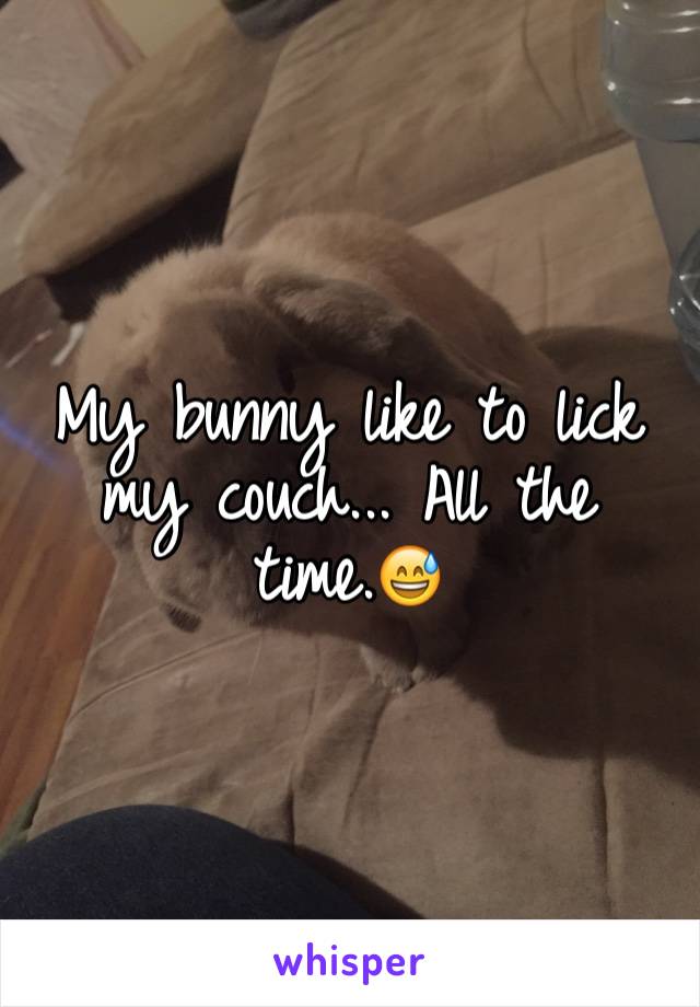 My bunny like to lick my couch... All the time.😅