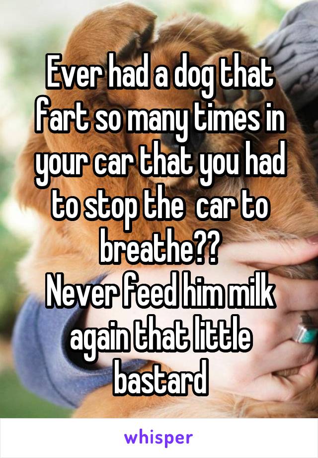 Ever had a dog that fart so many times in your car that you had to stop the  car to breathe??
Never feed him milk again that little bastard