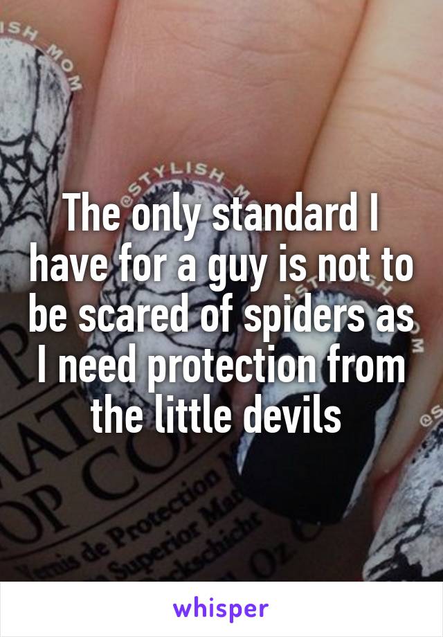 The only standard I have for a guy is not to be scared of spiders as I need protection from the little devils 