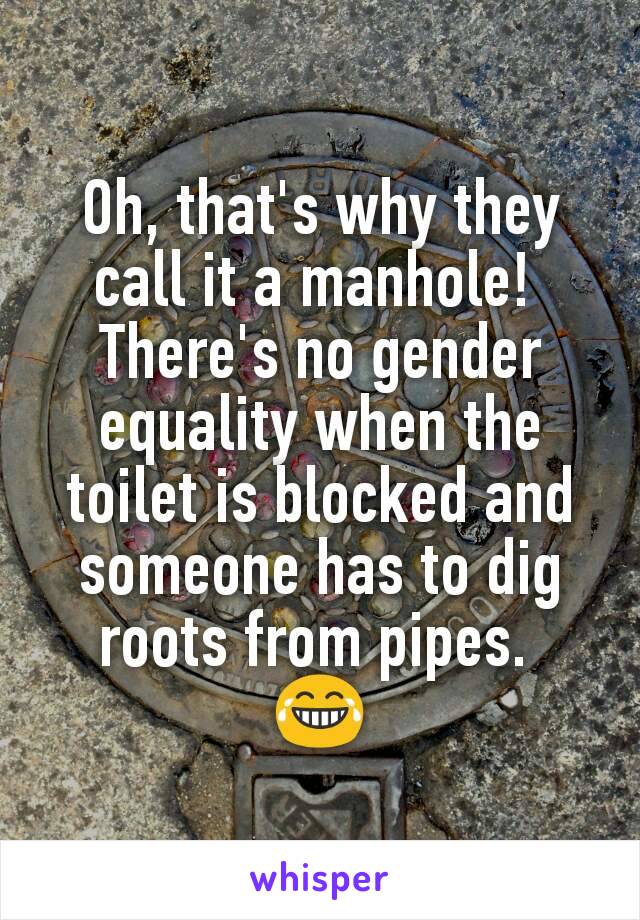 Oh, that's why they call it a manhole! 
There's no gender equality when the toilet is blocked and someone has to dig roots from pipes. 
😂