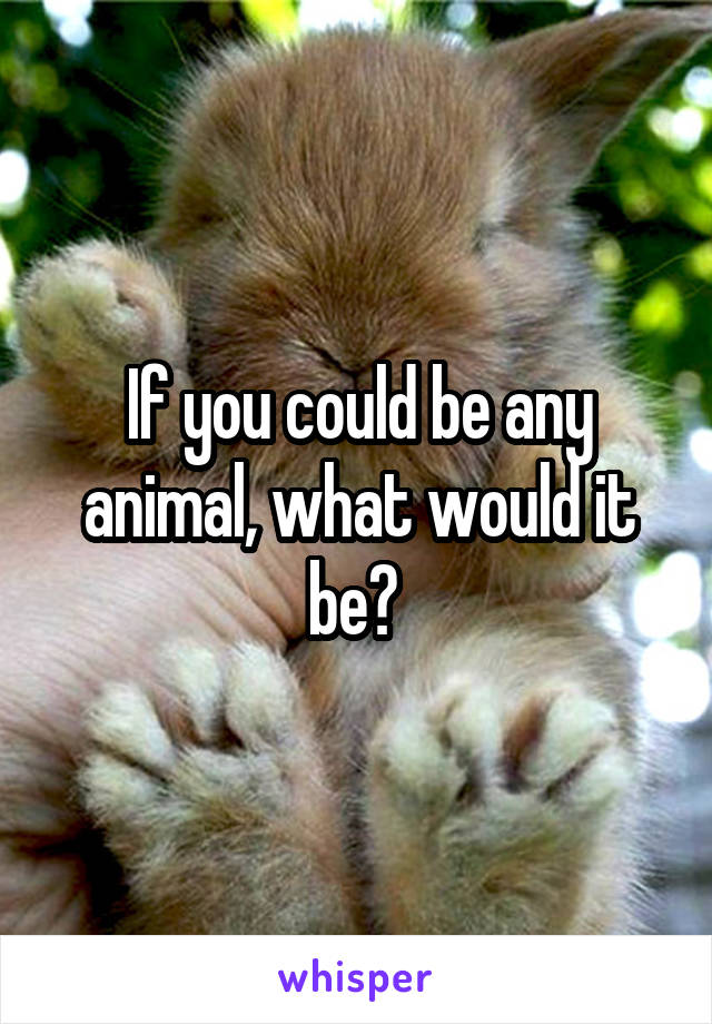 If you could be any animal, what would it be? 